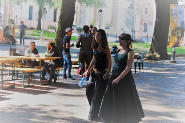 Le Strade del Paesaggio - Festival del Fumetto -  - fiera-min86BEA152-0698-F411-59AA-C56B5F372F59.jpg